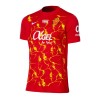 Jalkapallo Pelipaidat/Peliasut RCD Mallorca Special Edition 2023-24